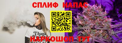 тгк Кимры