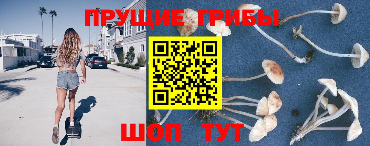Псилоцибиновые грибы Psilocybe  Псилоцибиновые грибы Cubensis  Вход с VPN  где можно купить наркотик  Азов 