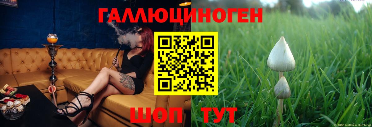 Псилоцибиновые грибы MAGIC MUSHROOMS Азов